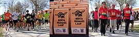 Banner 15. Berta-Hummel-Lauf in MASSING