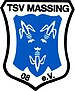 Logo TSV Massing 08